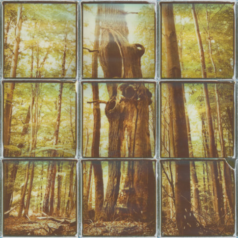 polaroid collage